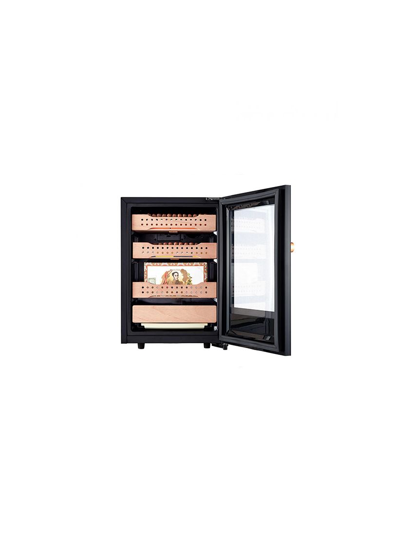 Afidano B1 - 400-Count Cigar Humidor Cabinet Exterior in Steel