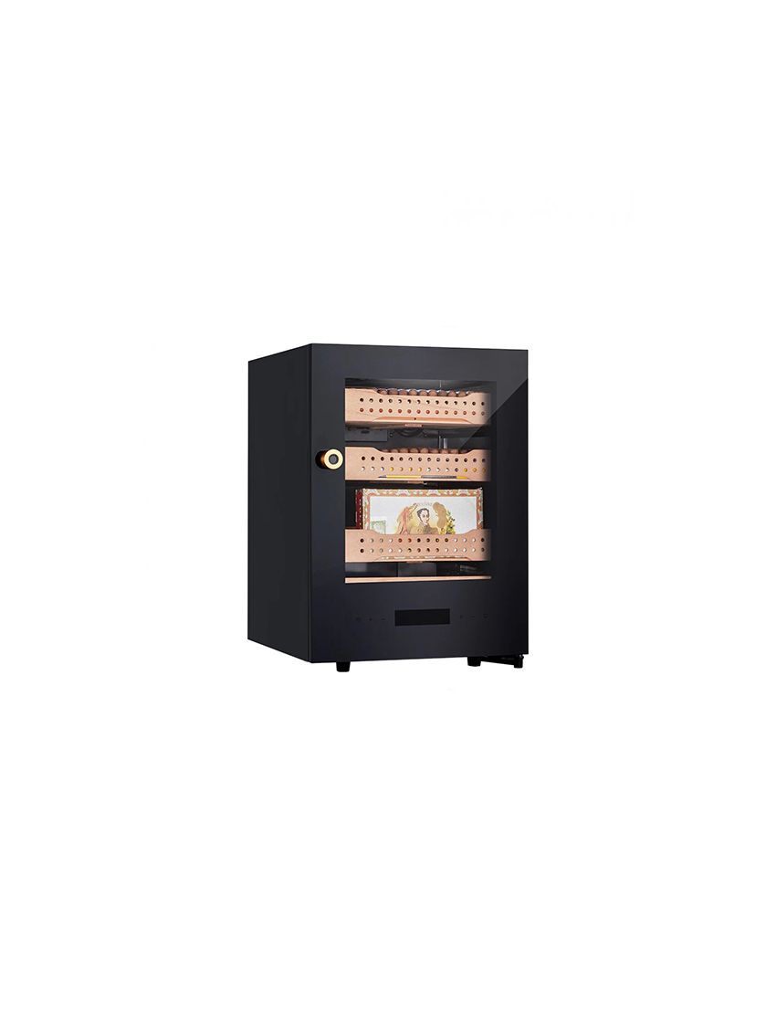 Afidano B1 - 400-Count Cigar Humidor Cabinet Exterior in Steel
